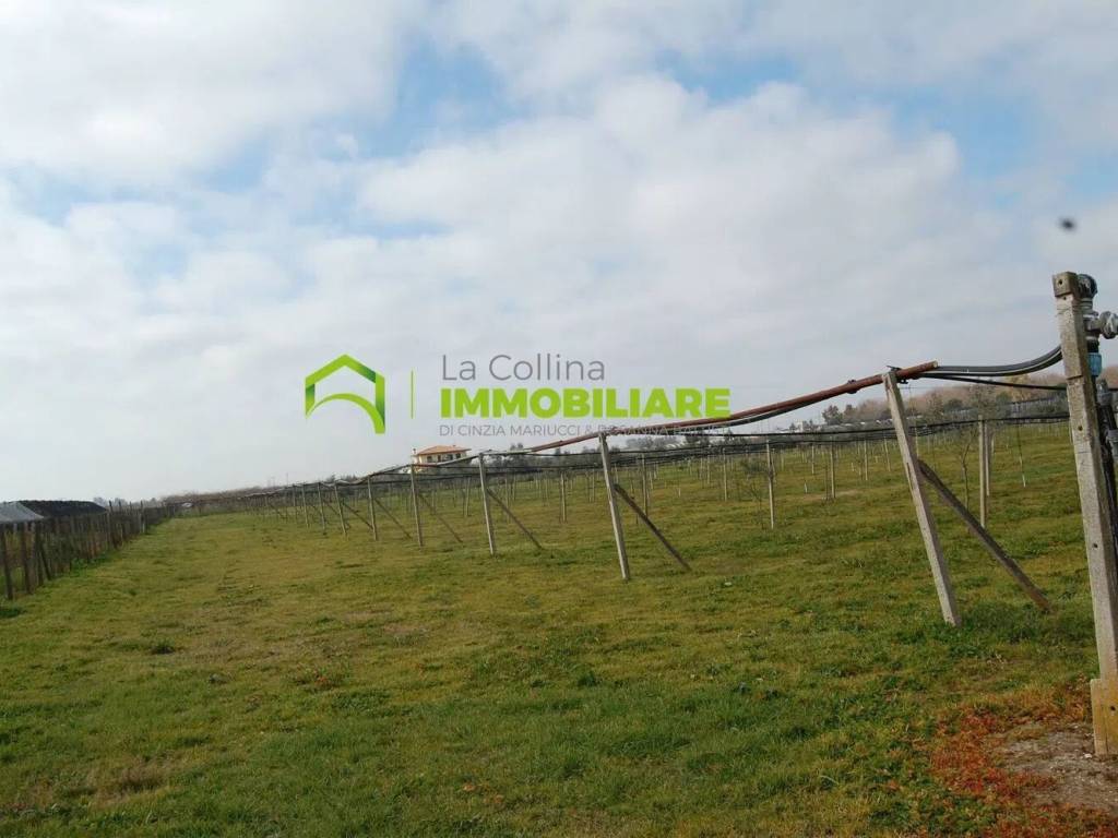 Terreno a Cisterna di latina in Via Della Gazza, 10 - Foto 5