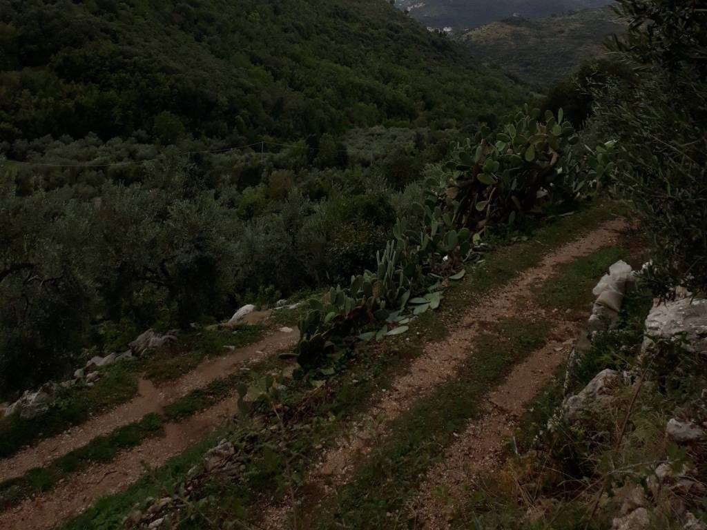 Terreno a Itri in Località La Valle - Foto 3