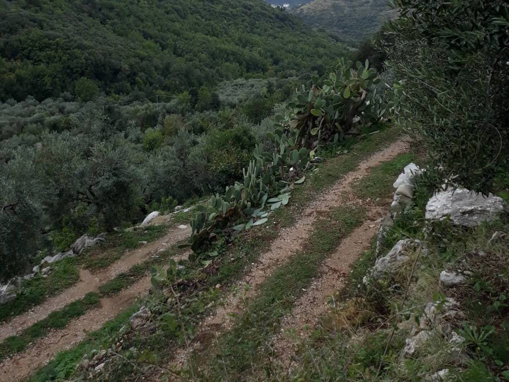 Terreno a Itri in Località La Valle - Foto 4