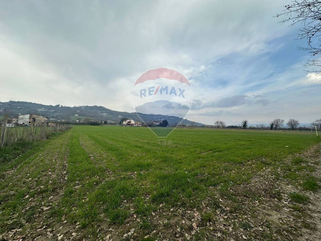 Terreno a San leucio del sannio - Foto 4