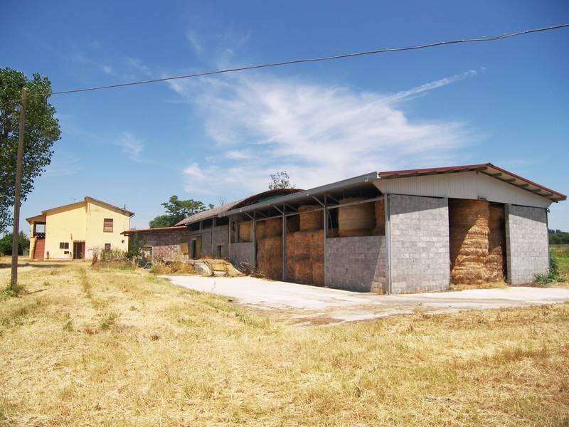 Villa a Torrita di siena - Foto 5