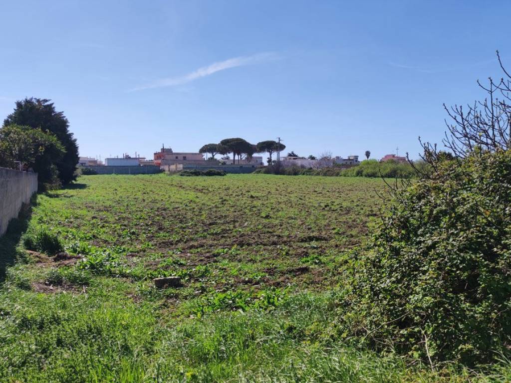 Terreno a Taurisano - Foto 3
