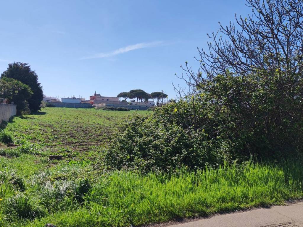 Terreno a Taurisano - Foto 4