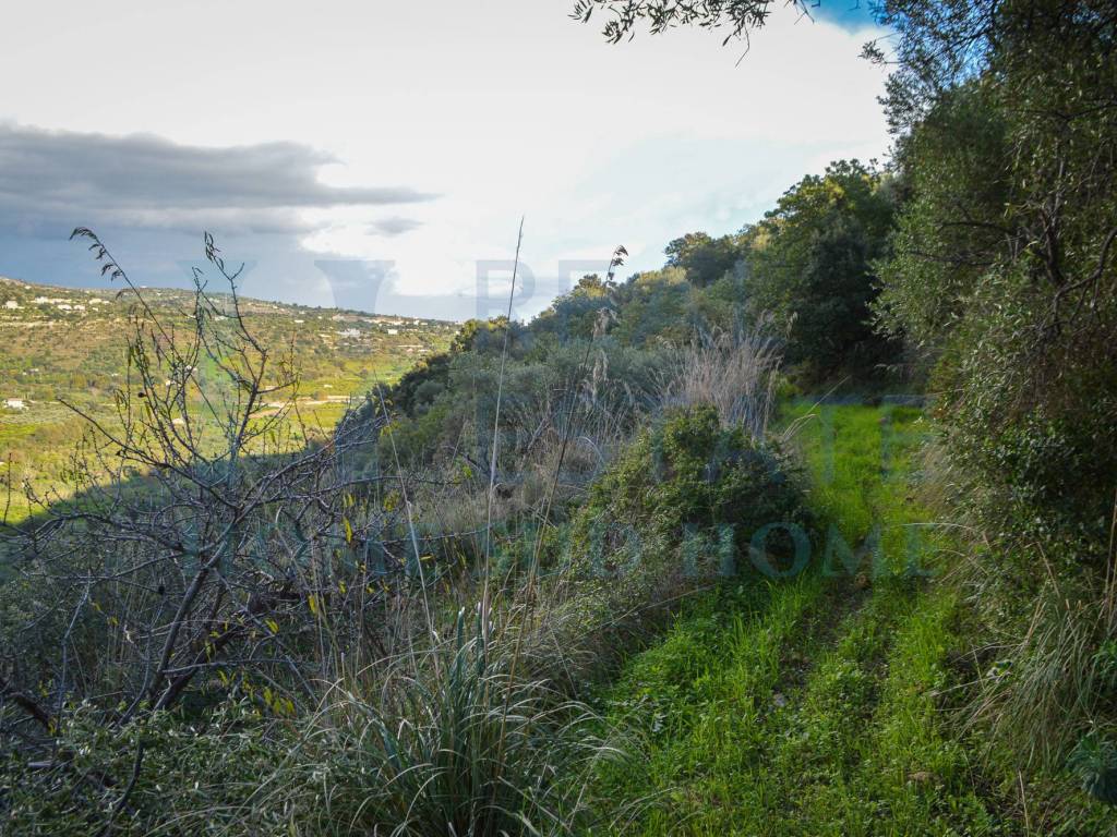 Terreno a Noto in Via Principe Umberto, 1 - Foto 2