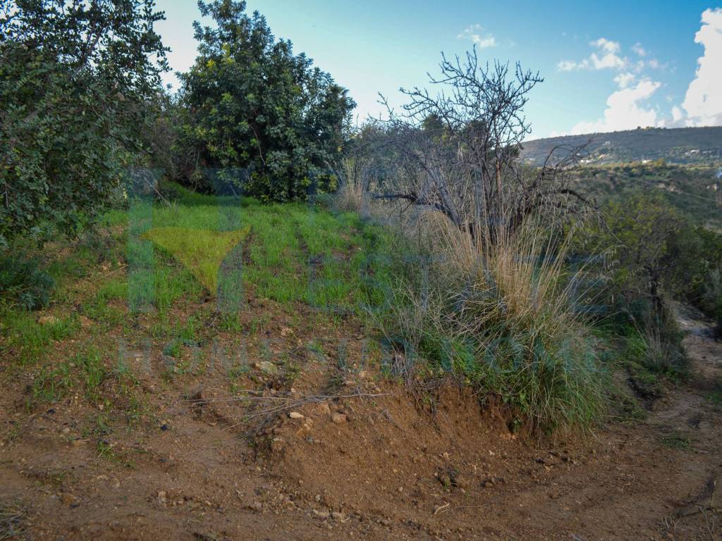 Terreno a Noto in Via Principe Umberto, 1 - Foto 3