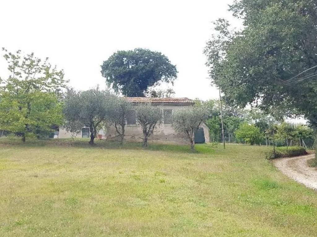 Rustico / casale a Fano - Foto 2