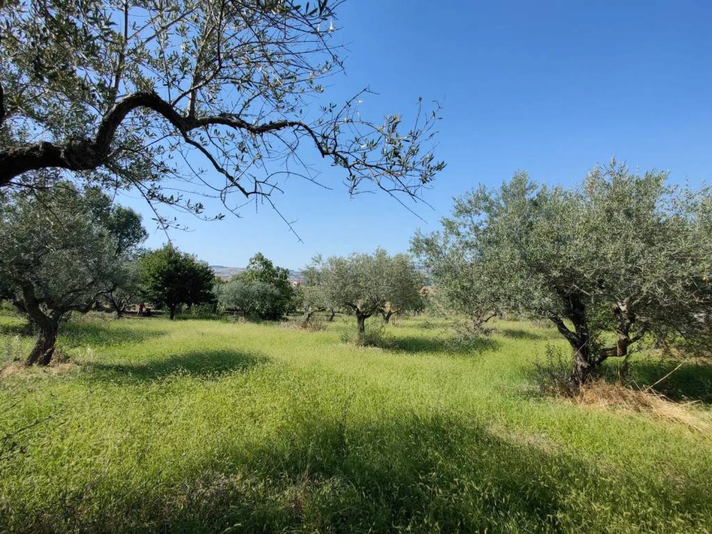Villa a Sant'elia a pianisi in Ponte Di Tavola S.N.C. - Foto 5