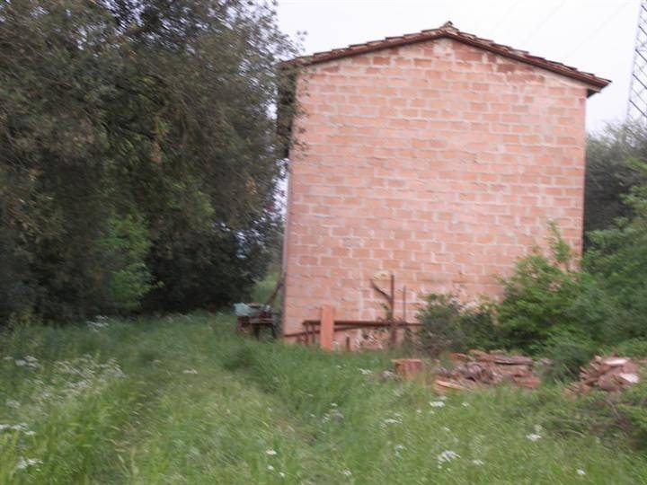 Terreno a Sinalunga - Foto 3