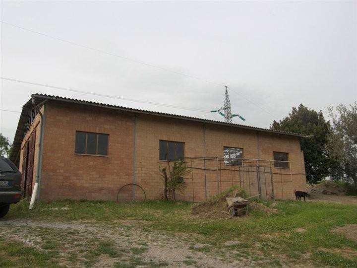 Terreno a Sinalunga - Foto 5