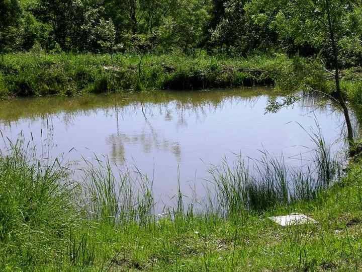 Immobile a Scansano - Foto 3