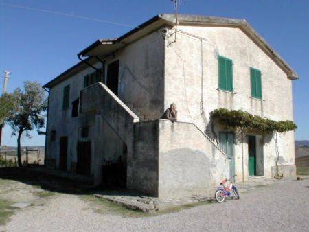 Terreno a Cinigiano - Foto 3