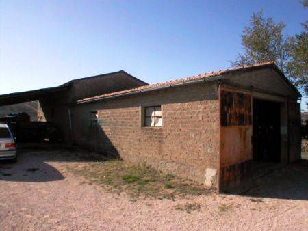 Terreno a Cinigiano - Foto 5