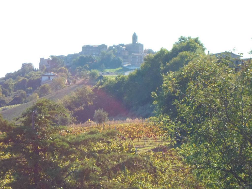 Palazzo / stabile a Carassai in Strada Provinciale 58, 28 - Foto 2