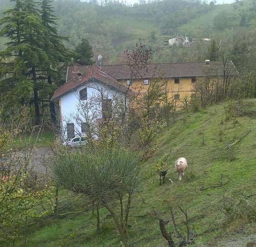 Immobile a Serravalle scrivia - Foto 3