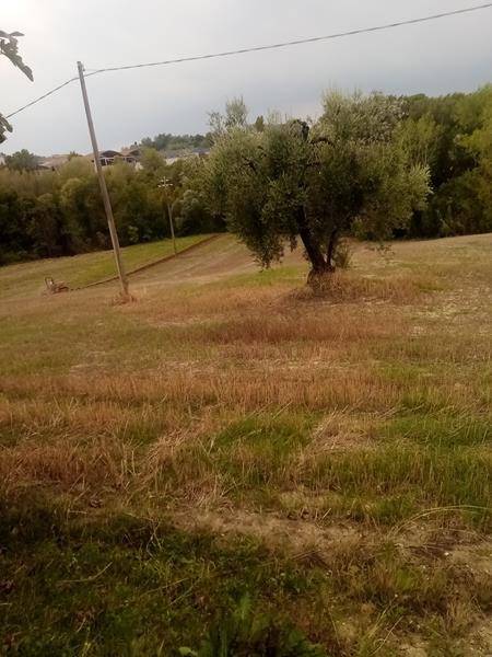 Appartamento a Treia - Foto 4