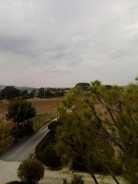 Appartamento a Treia - Foto 3