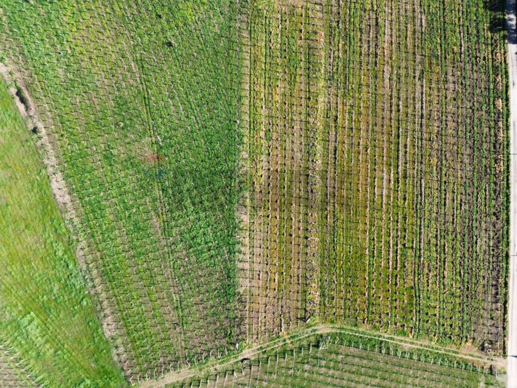 Terreno a Torino di sangro in C.da Lentesco - Foto 2