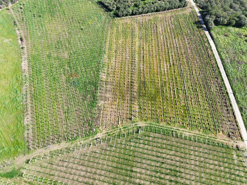 Terreno a Torino di sangro in C.da Lentesco - Foto 3
