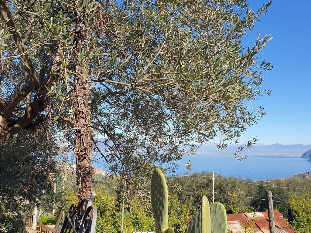 Villa a Sorrento in Via Pantano - Foto 2