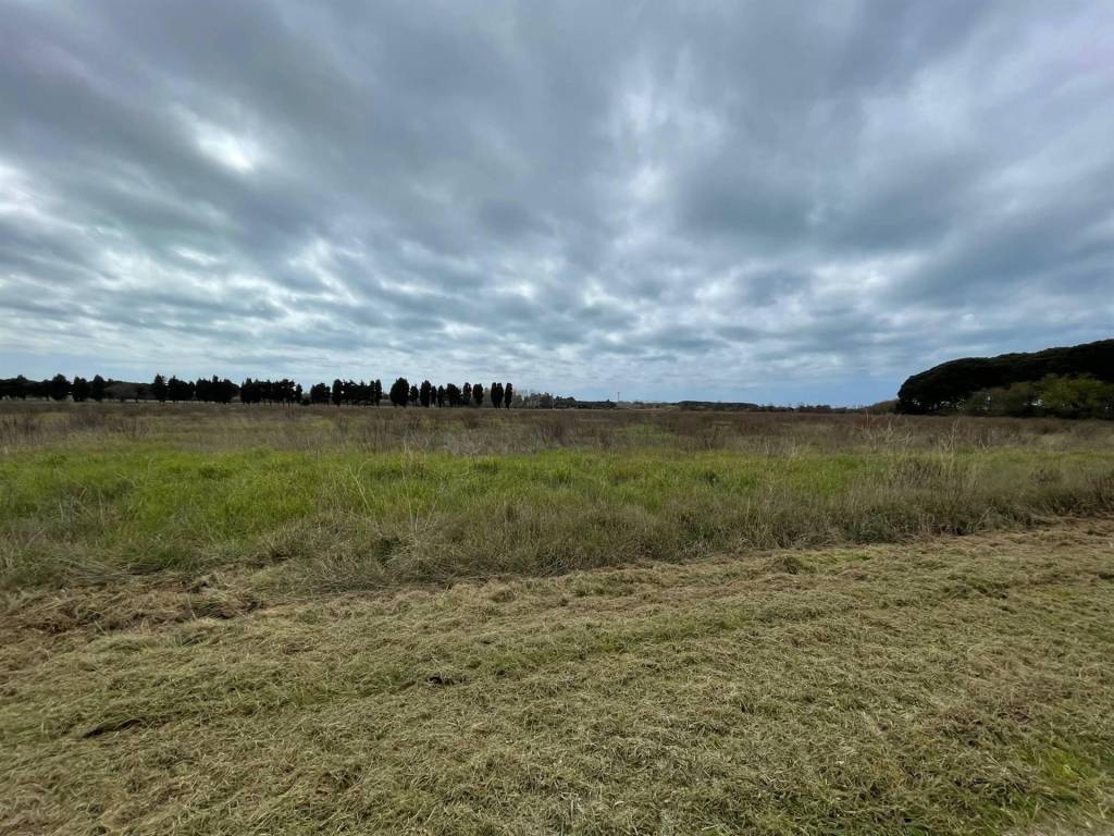 Terreno a Rosignano marittimo - Foto 2