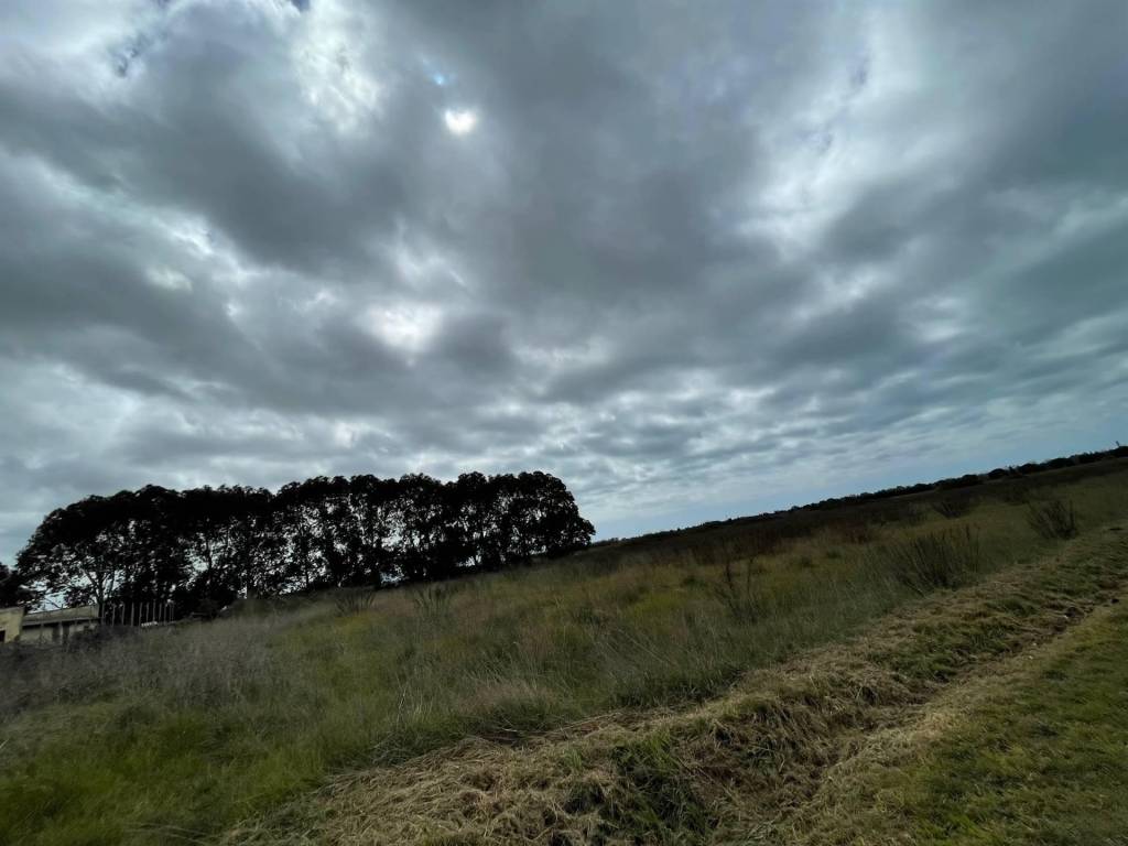 Terreno a Rosignano marittimo - Foto 3