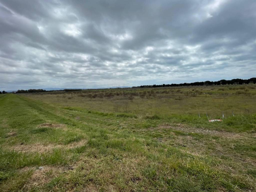 Terreno a Rosignano marittimo - Foto 4