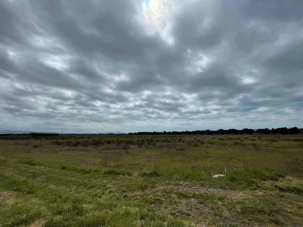 Terreno a Rosignano marittimo - Foto 5