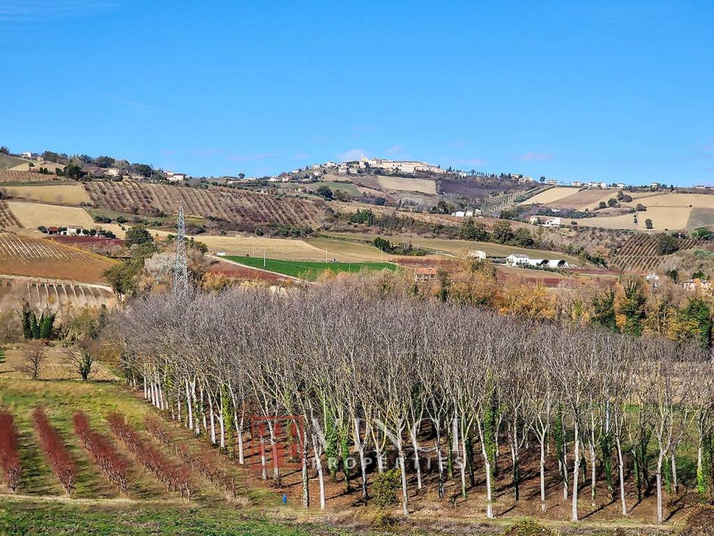 Rustico / casale a Montalto delle marche - Foto 5