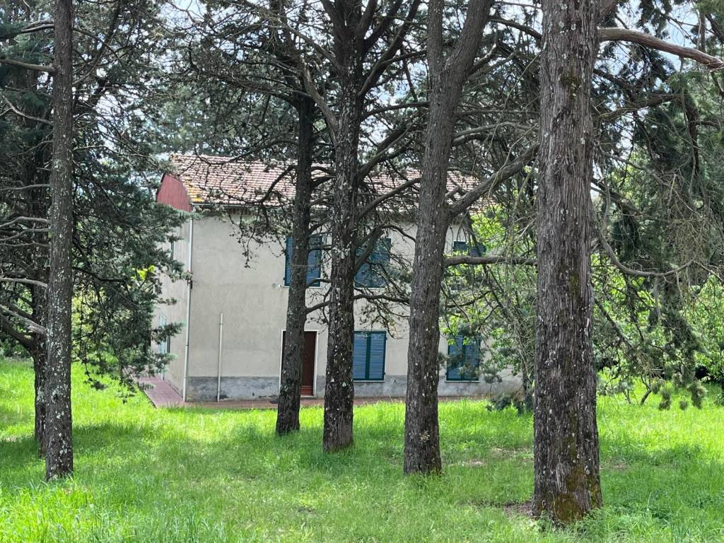 Rustico / casale a Sorano in Località Capannelle, 1 - Foto 3