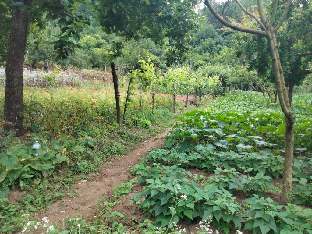 Terreno a Cava de' tirreni - Foto 2