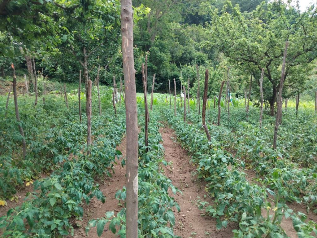 Terreno a Cava de' tirreni - Foto 5