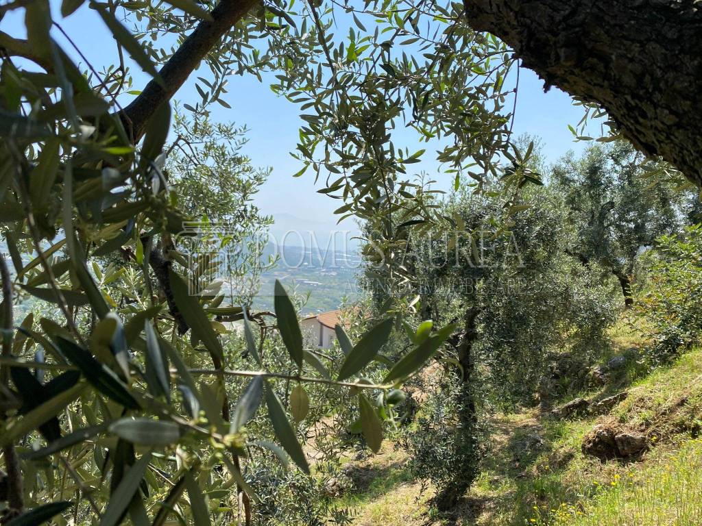 Terreno a Itri in Contrada Bucefalo - Foto 2