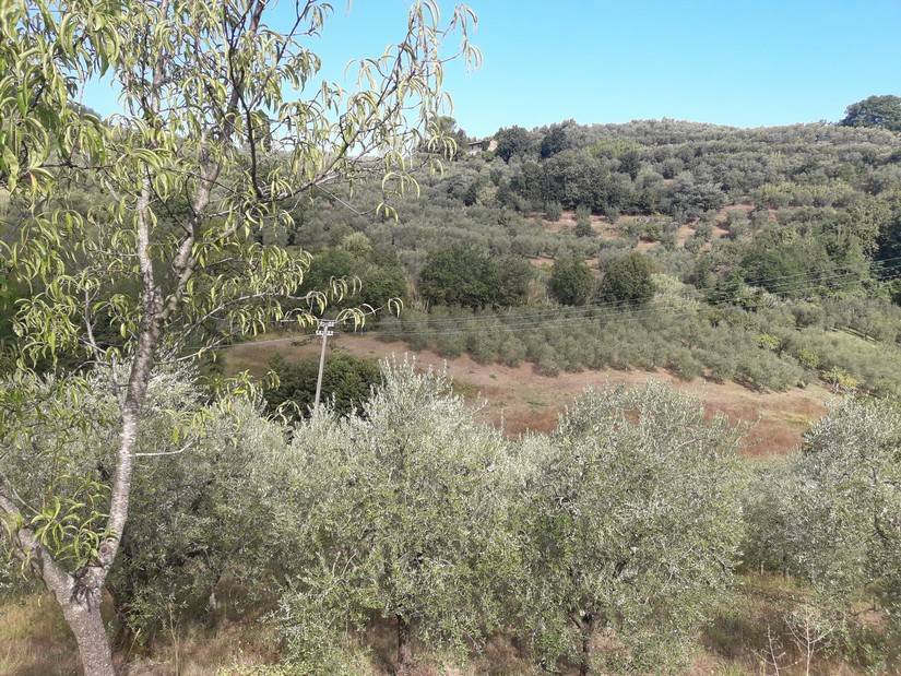 Terreno a Serravalle pistoiese in Via Baco, 16 - Foto 2