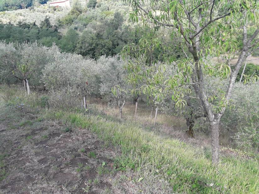 Terreno a Serravalle pistoiese in Via Baco, 16 - Foto 4