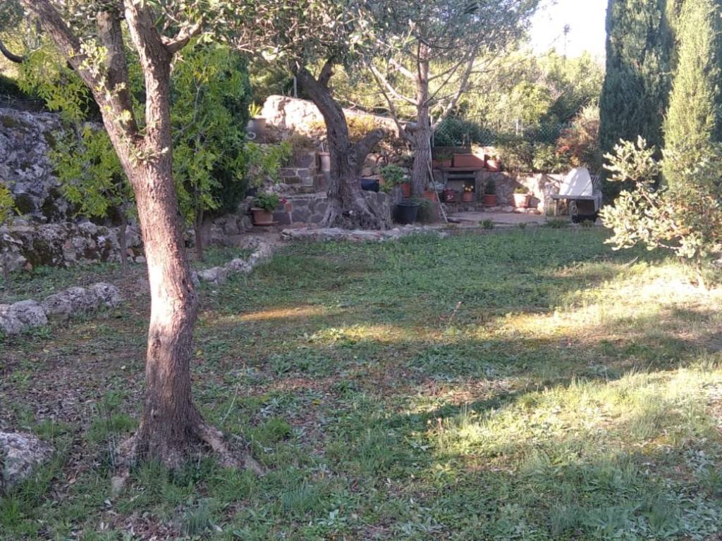 Terreno a Monte argentario - Foto 3