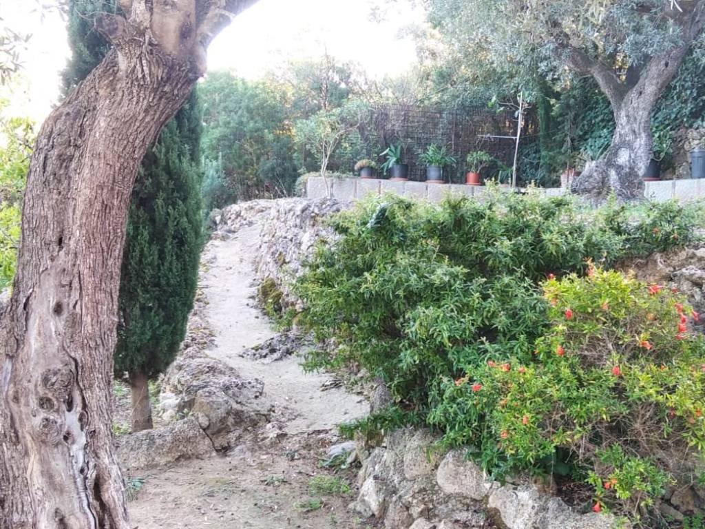 Terreno a Monte argentario - Foto 4