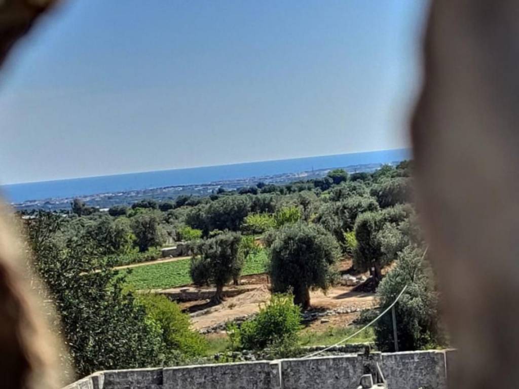 Rustico / casale a Polignano a mare in Via Case Sparse - Foto 3