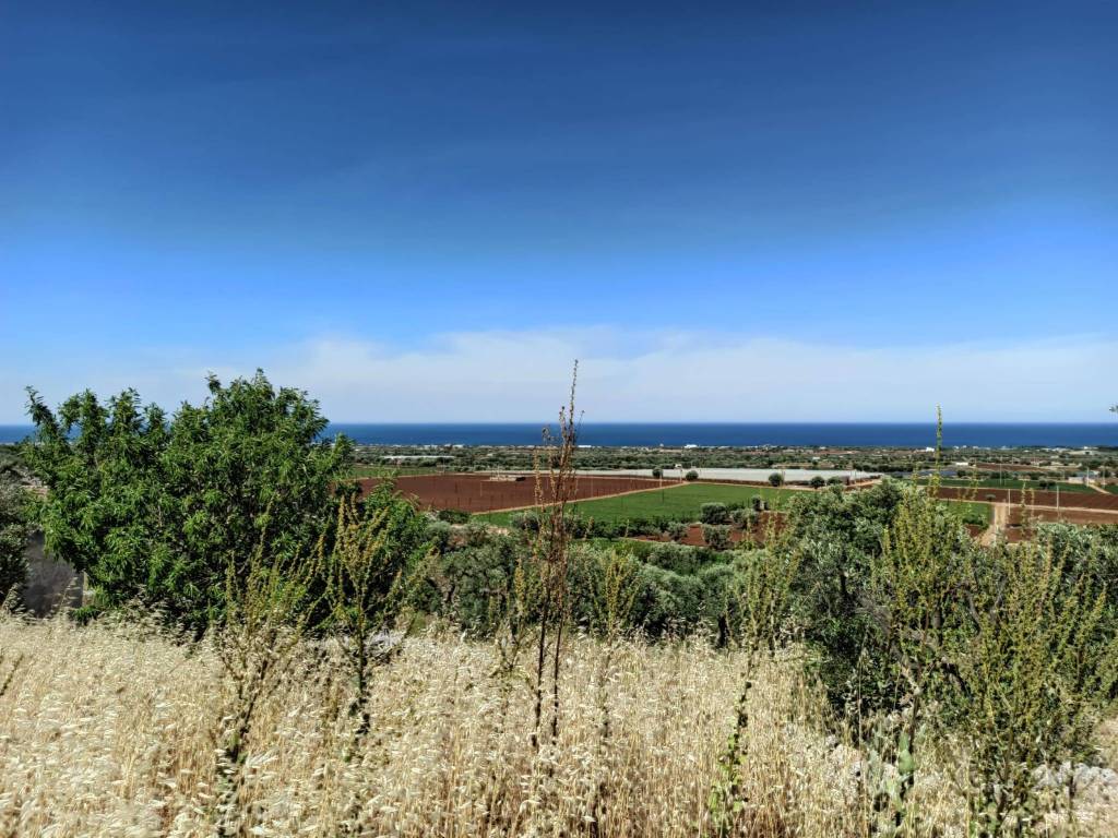 Rustico / casale a Polignano a mare in Via Case Sparse - Foto 5