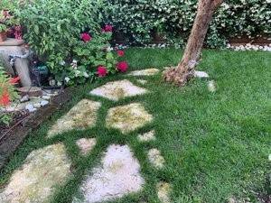Appartamento a Riccione in Viale Cortemaggiore - Foto 2
