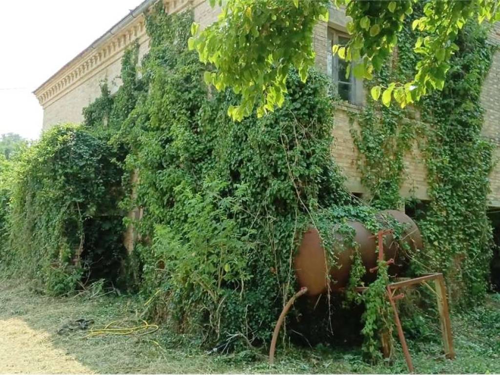 Rustico / casale a Montelparo - Foto 4