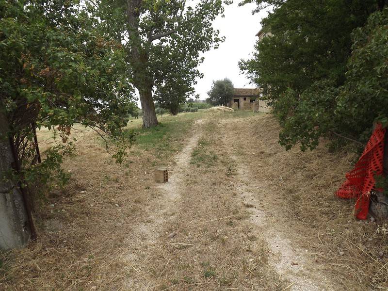 Rustico / casale a Treia in Contrada Camporota - Foto 4