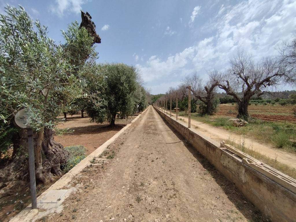 Villa a Ugento in Lit. Gallipoli - S.M. di Leuca, SNC - Foto 5