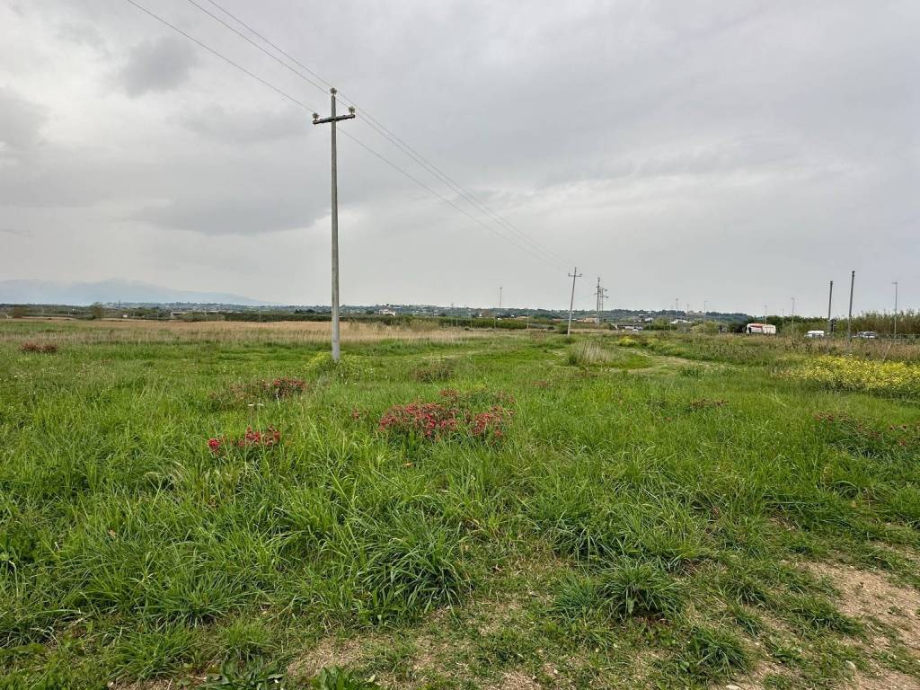 Terreno a Fossacesia in Strada Statale Adriatica - Foto 3