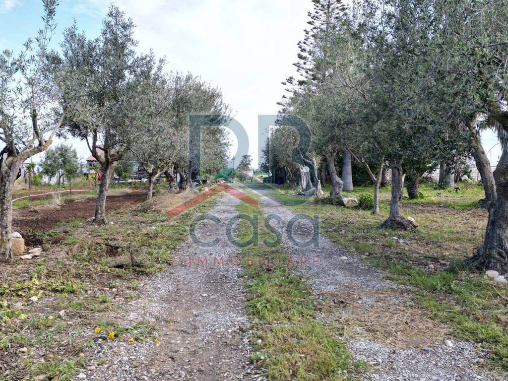 Casa indipendente a Ispica in Via dei Giaggioli - Foto 2