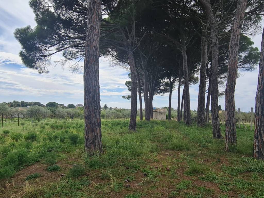 Terreno a Castelvetrano in Via Natalino Sapegno - Foto 2