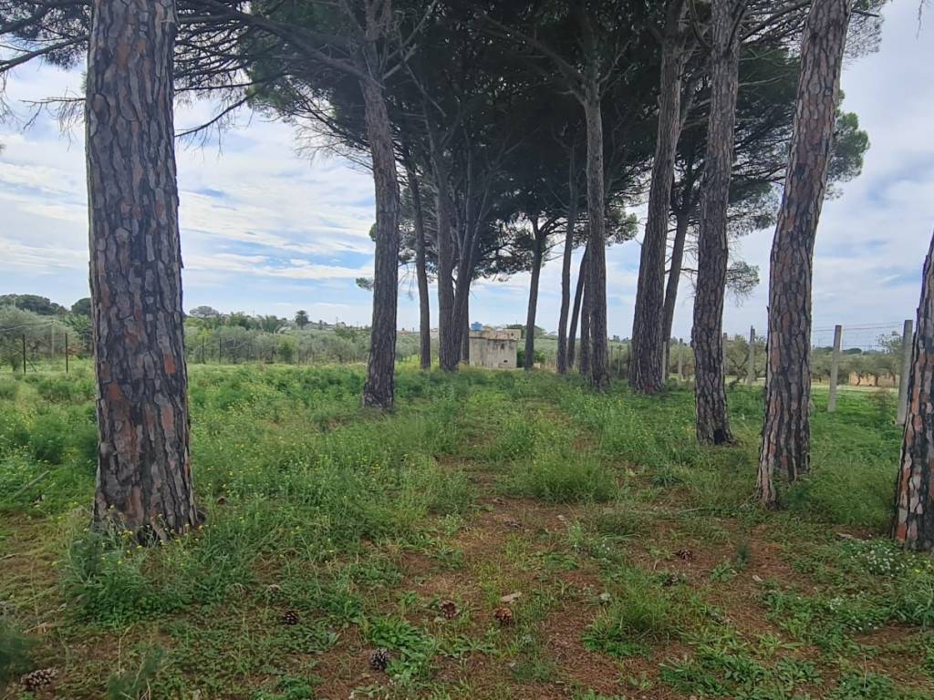 Terreno a Castelvetrano in Via Natalino Sapegno - Foto 3