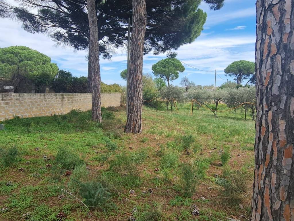 Terreno a Castelvetrano in Via Natalino Sapegno - Foto 5