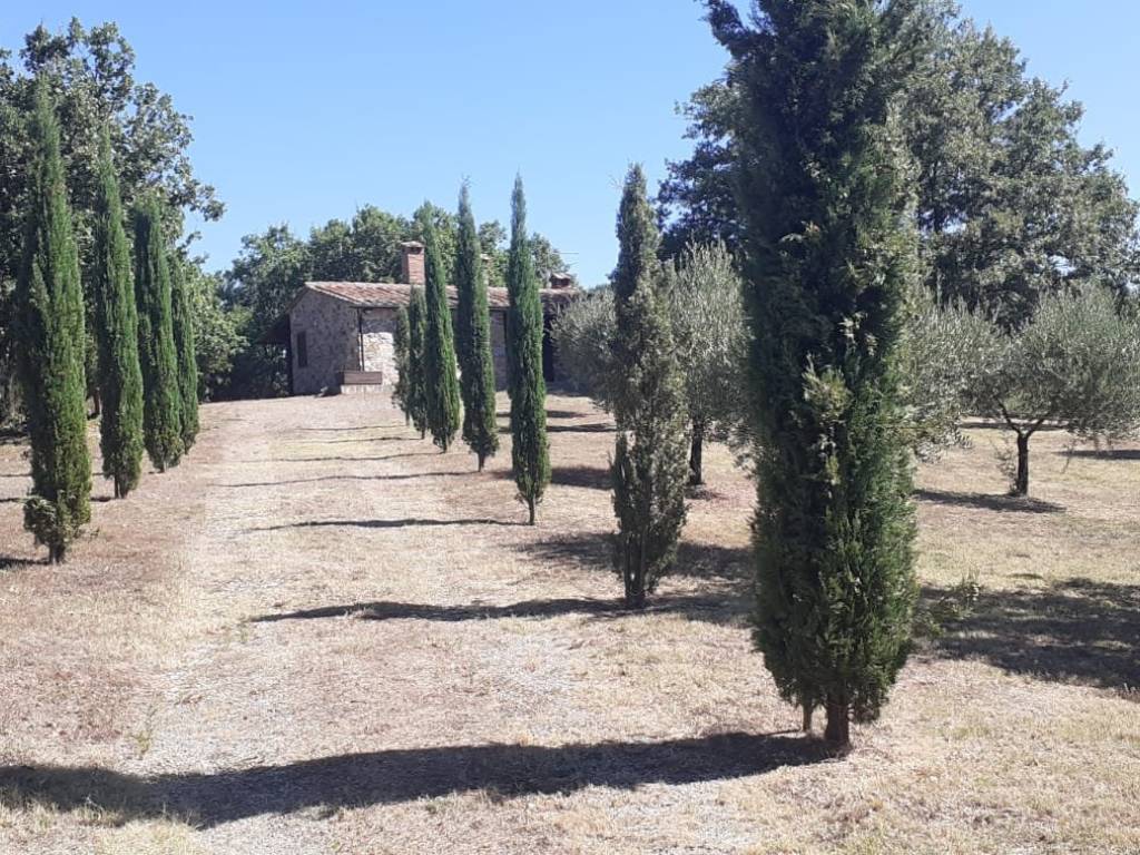 Terreno a Montieri in Strada Provinciale Boccheggiano - Foto 2