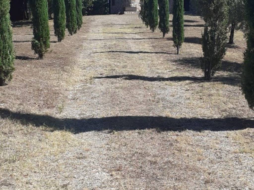 Terreno a Montieri in Strada Provinciale Boccheggiano - Foto 3