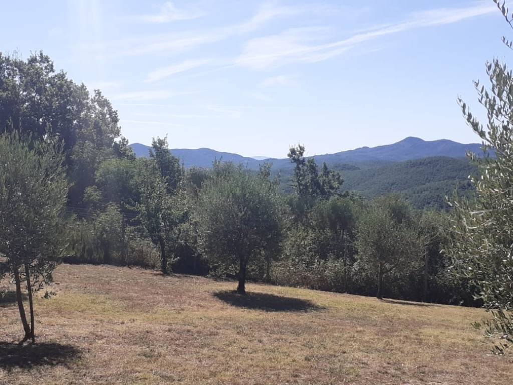 Terreno a Montieri in Strada Provinciale Boccheggiano - Foto 5